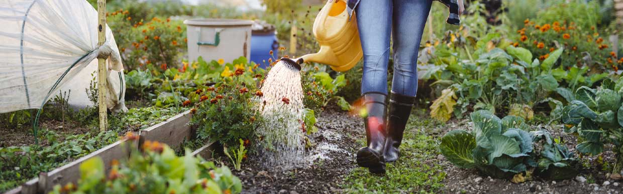 Assorted home and garden essentials displayed for outdoor and indoor use