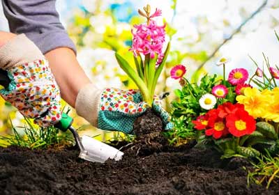 Essential home and garden tools from M Industrial Safety