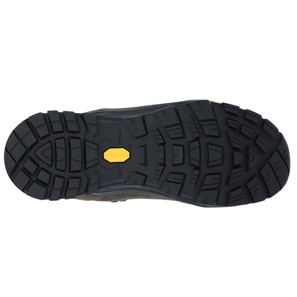 Altitude Pro RGS Hiking Shoes