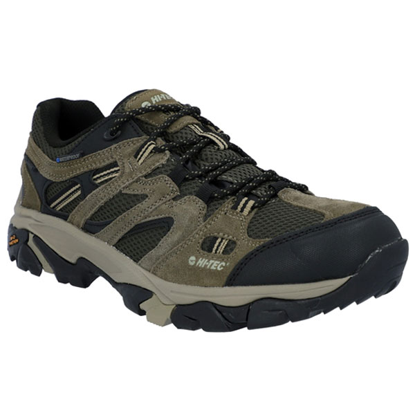 Apex Durable Low Hiking Shoes