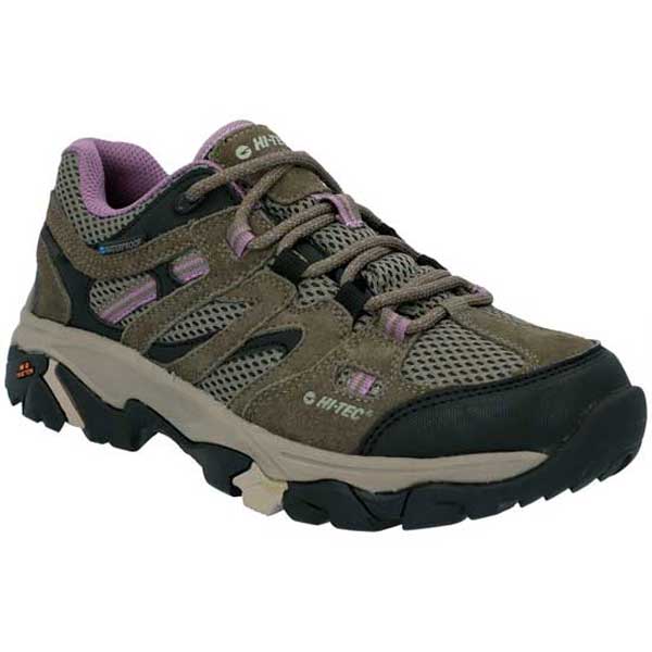 Apex Lite Durable Low Hiking Shoes