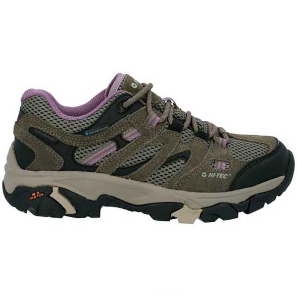 Apex Lite Durable Low Hiking Shoes