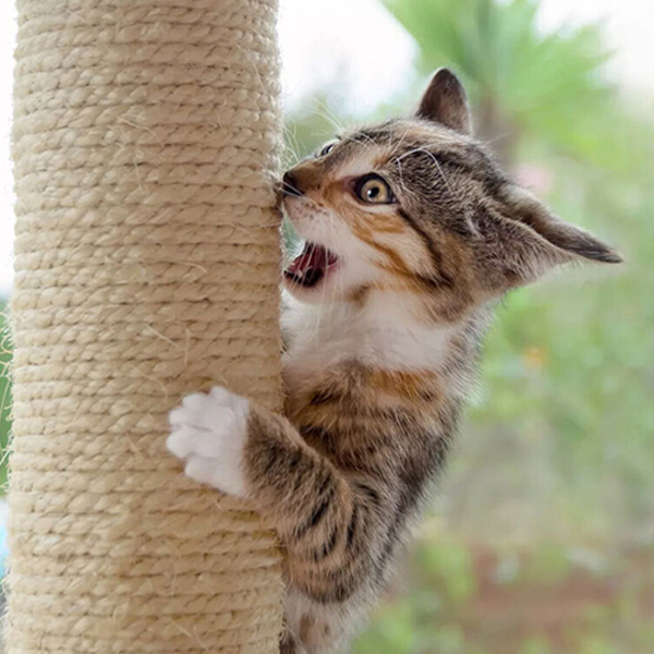 Durable Cat Scratching Post Natural Sisal Rope for Crafts.