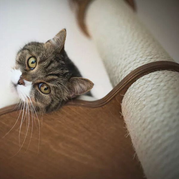 Durable Cat Scratching Post Natural Sisal Rope for Crafts.