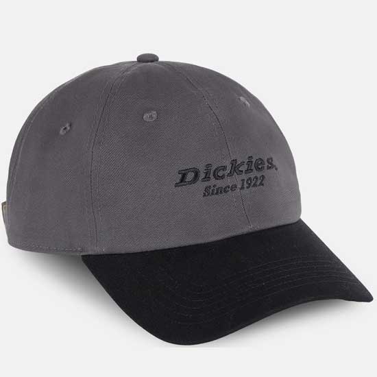 Low-Profile Dickies Twill Cotton Cap