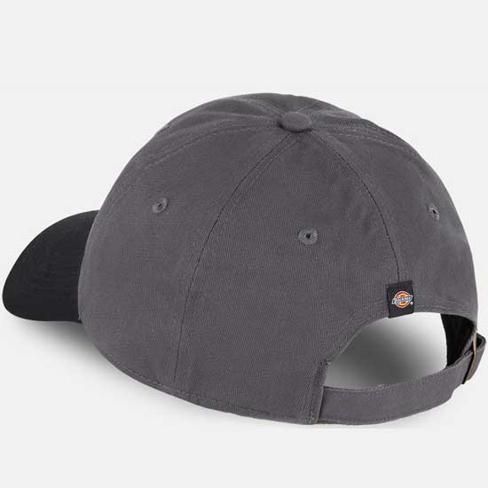Low-Profile Dickies Twill Cotton Cap