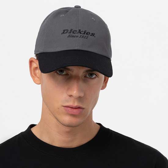 Low-Profile Dickies Twill Cotton Cap