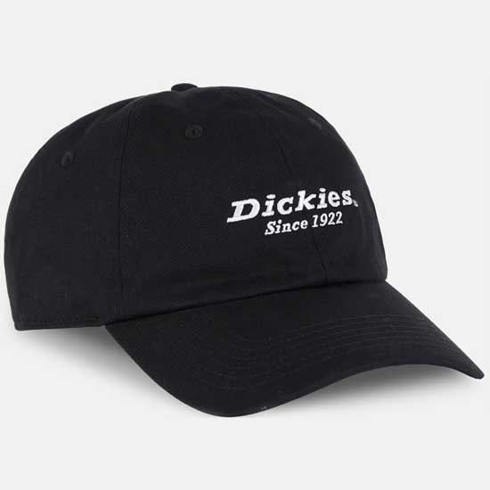Low-Profile Dickies Twill Cotton Cap