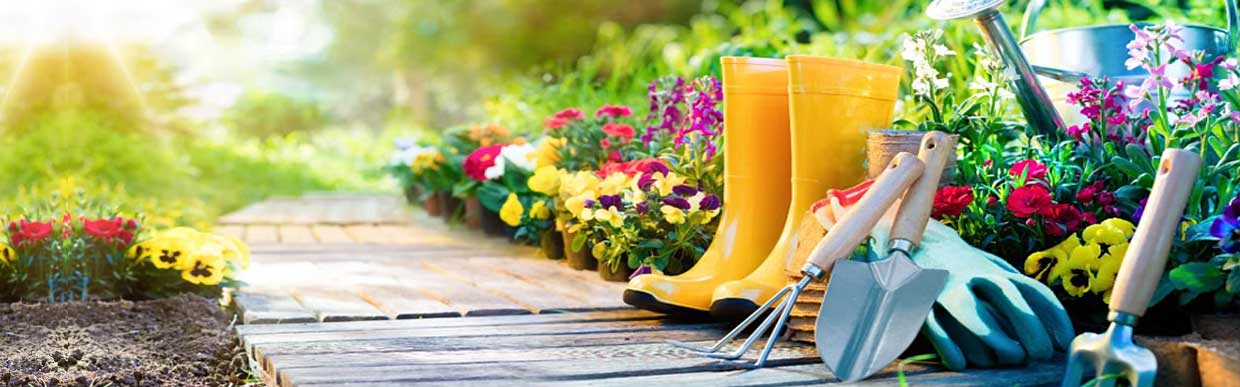 Gardening tools and equipment displayed for professional and DIY use