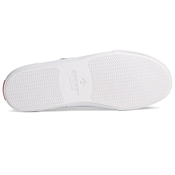 Jaws II Striper Sneaker