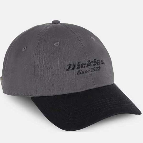 Low-Profile Dickies Twill Cotton Cap