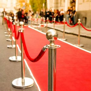 Premium Rope Barriers in UK