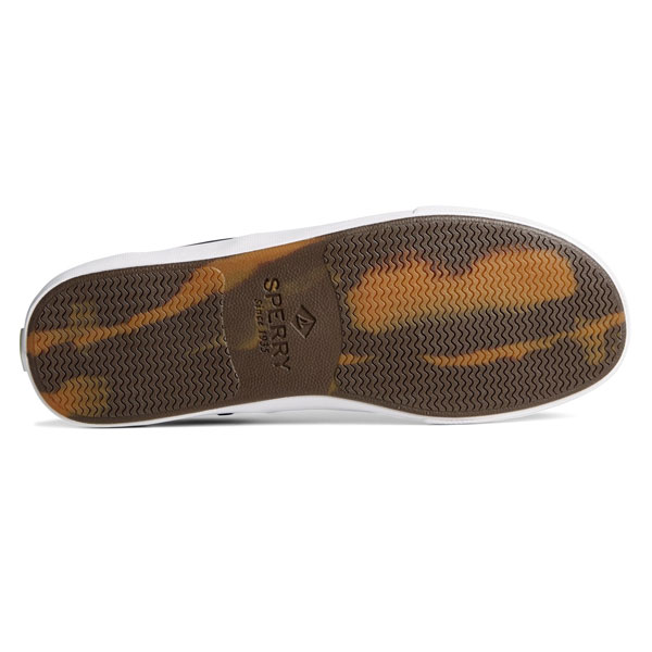 Striper II CVO Recycled Summer Footwear Edition