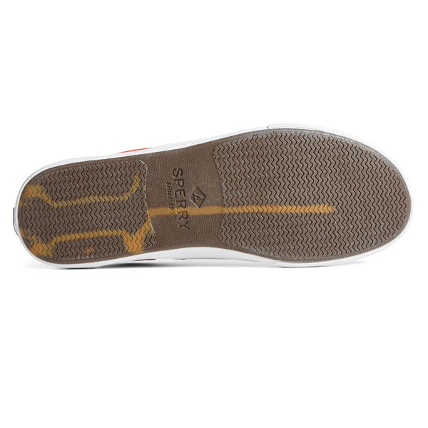 Striper II CVO Recycled Summer Footwear Edition